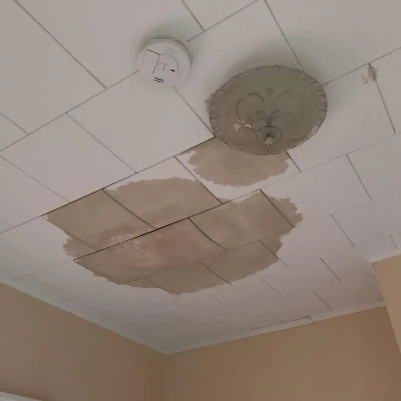 Ceiling Water Damage Repair in Minnehaha County, SD