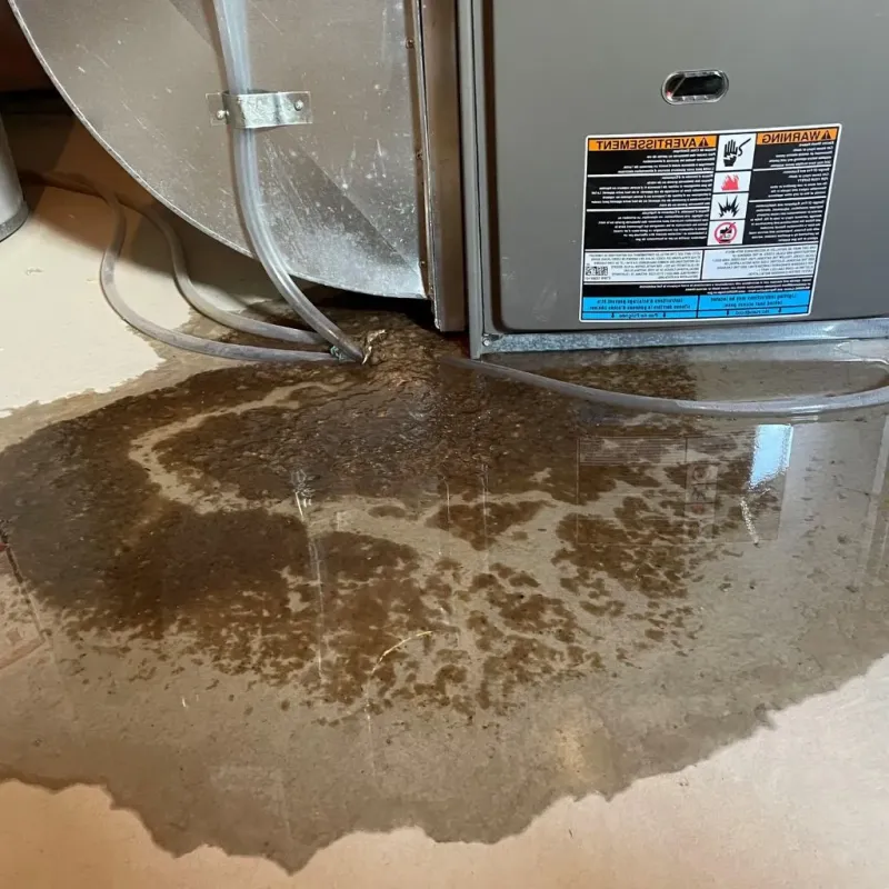 Pipe Burst and Leak Restoration in Minnehaha County, SD